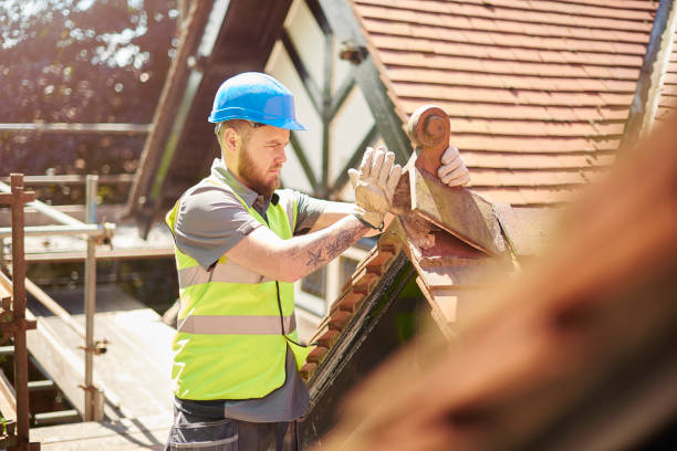 Best Metal Roofing Contractor  in Biscoe, NC