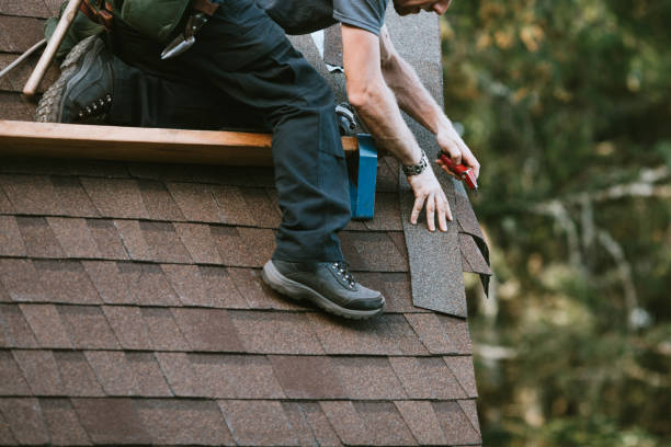 Best Roofing Contractor Near Me  in Biscoe, NC